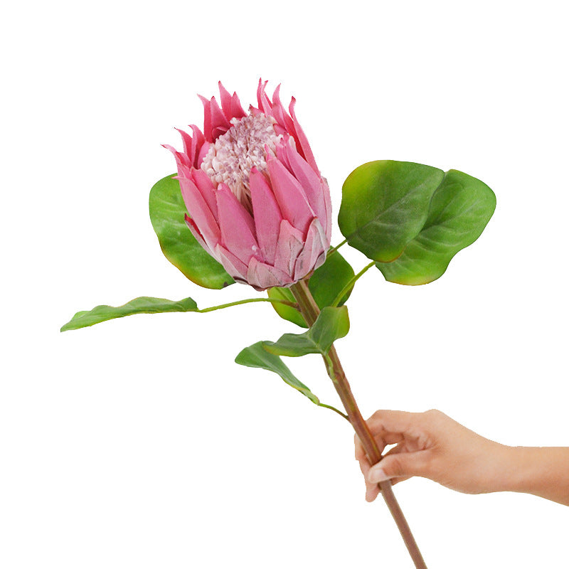 Künstliche Protea Königskerze, einzelner Stängel mit 1 Blüte, 65 cm hoch, aus Seidenstoff, für Hochzeiten und Innendekoration