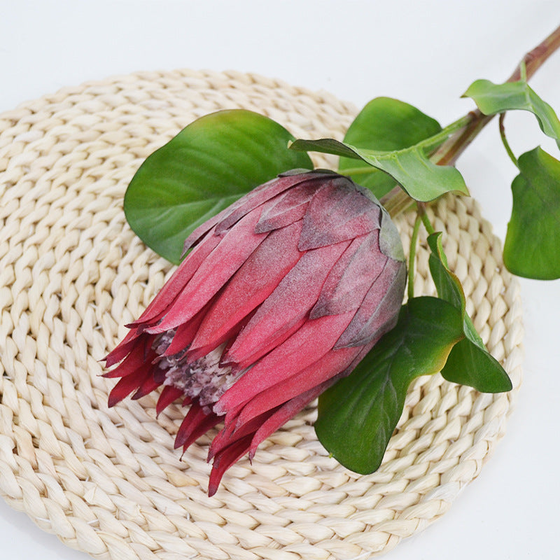 Künstliche Protea Königskerze, einzelner Stängel mit 1 Blüte, 65 cm hoch, aus Seidenstoff, für Hochzeiten und Innendekoration