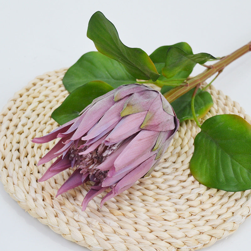 Künstliche Protea Königskerze, einzelner Stängel mit 1 Blüte, 65 cm hoch, aus Seidenstoff, für Hochzeiten und Innendekoration