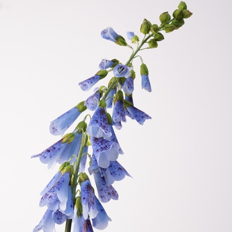 112cm Realistische Kunstblume Fingerhut, PVC Material, Perfekt für Vasen, Hochzeitsdekoration, Hausdeko, Cottagecore Stil