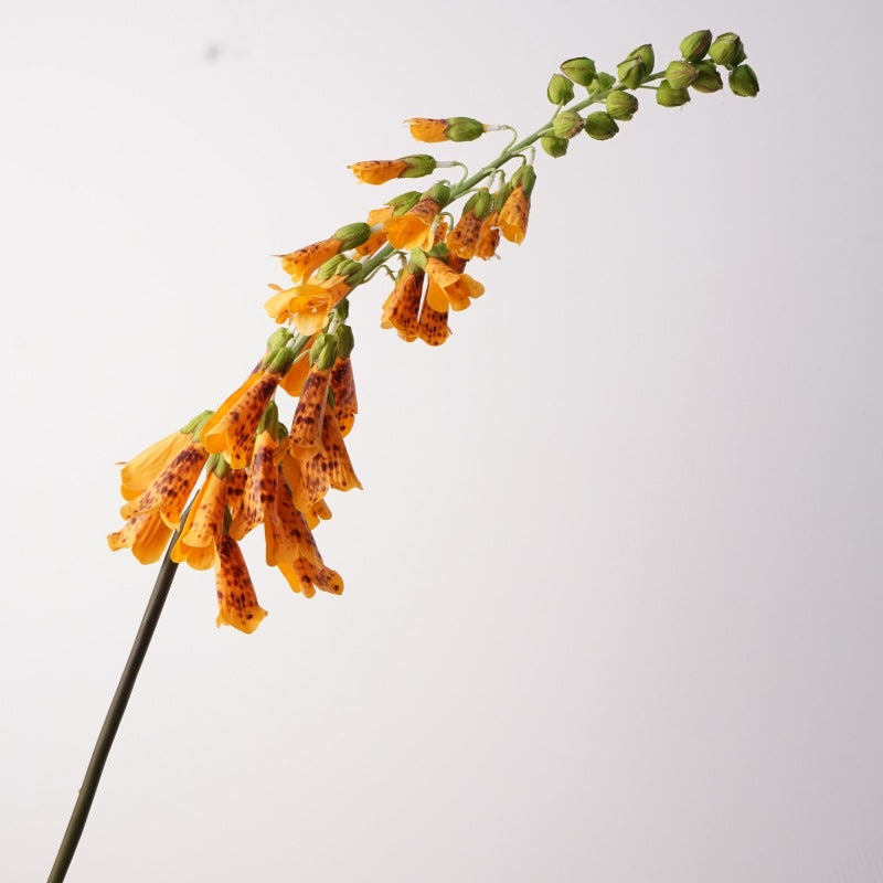 112cm Realistische Kunstblume Fingerhut, PVC Material, Perfekt für Vasen, Hochzeitsdekoration, Hausdeko, Cottagecore Stil