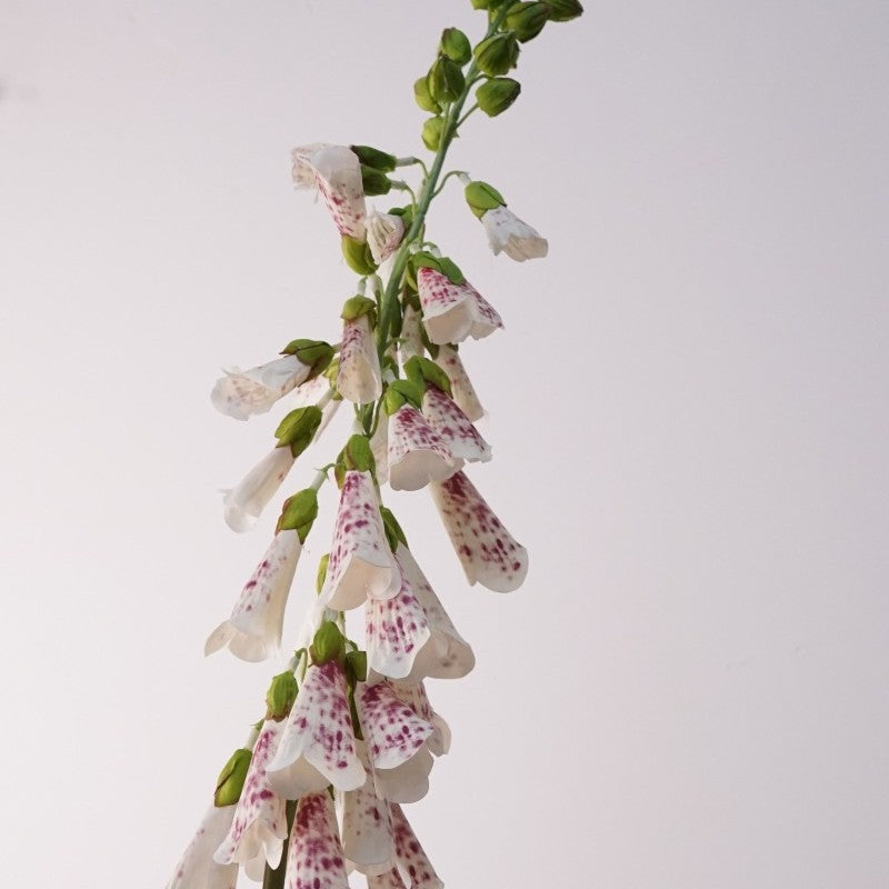 112cm Realistische Kunstblume Fingerhut, PVC Material, Perfekt für Vasen, Hochzeitsdekoration, Hausdeko, Cottagecore Stil