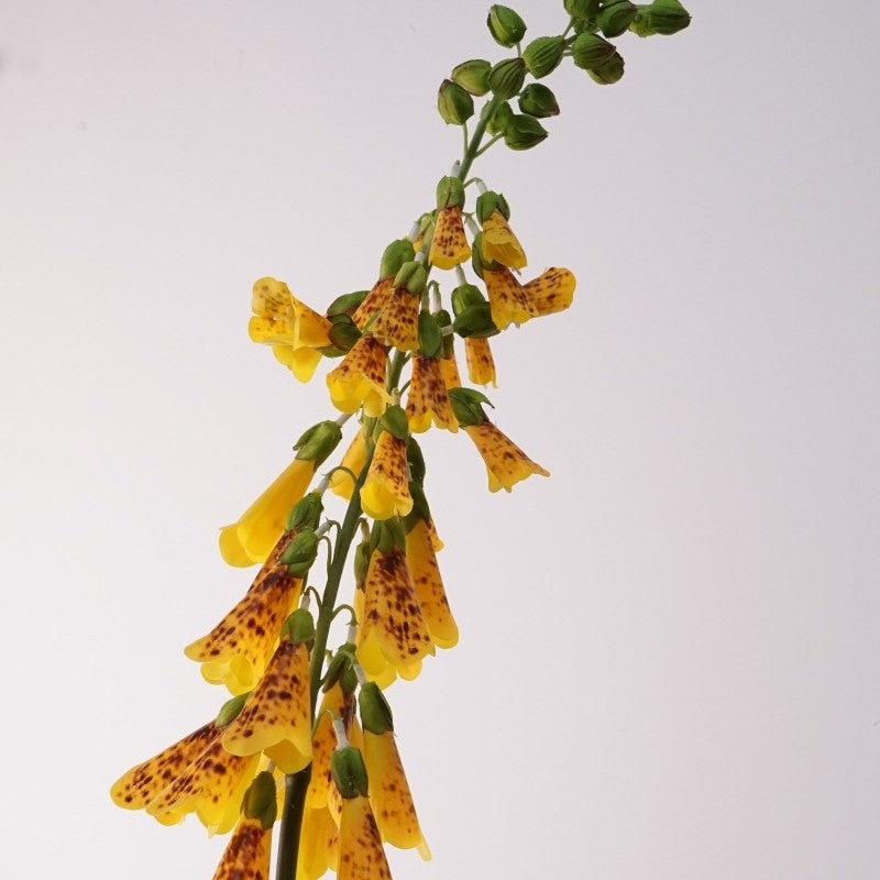 112cm Realistische Kunstblume Fingerhut, PVC Material, Perfekt für Vasen, Hochzeitsdekoration, Hausdeko, Cottagecore Stil
