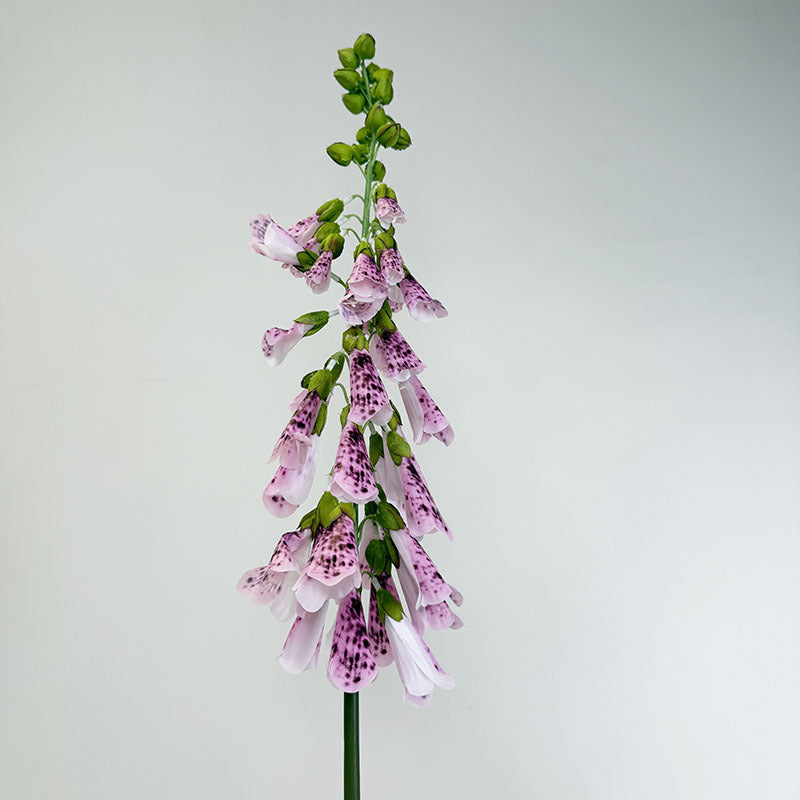 112cm Realistische Kunstblume Fingerhut, PVC Material, Perfekt für Vasen, Hochzeitsdekoration, Hausdeko, Cottagecore Stil
