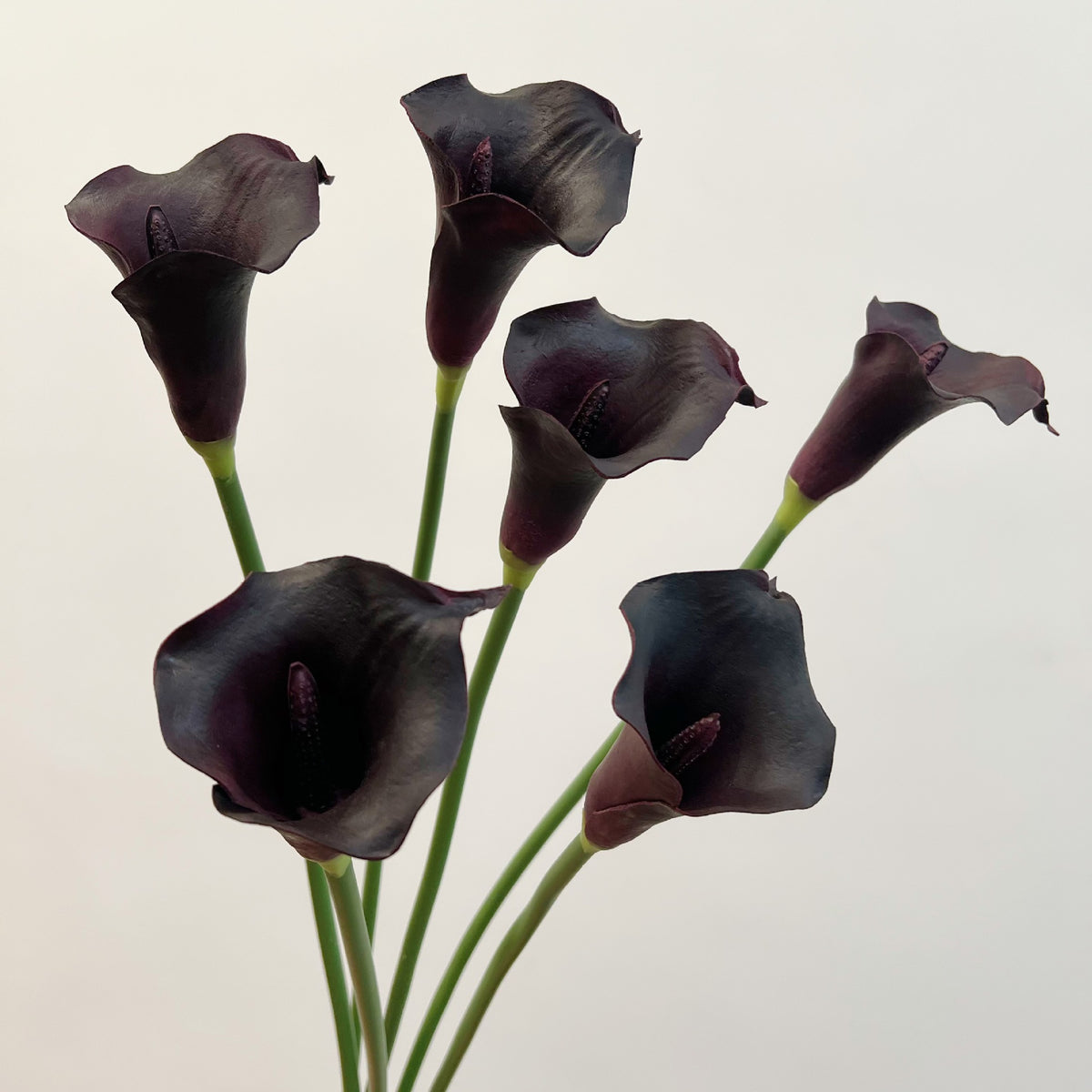 6er Set Calla Lilien Kunstblumen, 66cm Real Touch, Hochwertige Calla in Schwarz-Lila, für Gothic Deko, Halloween, Vase & elegante Arrangements