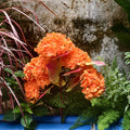 Künstlicher Hortensienstrauß 55 cm in Herbst-Orange, 7 Real Touch Blütenköpfe, naturgetreue Kunstblumen für Deko, Hochzeit, Gastronomie