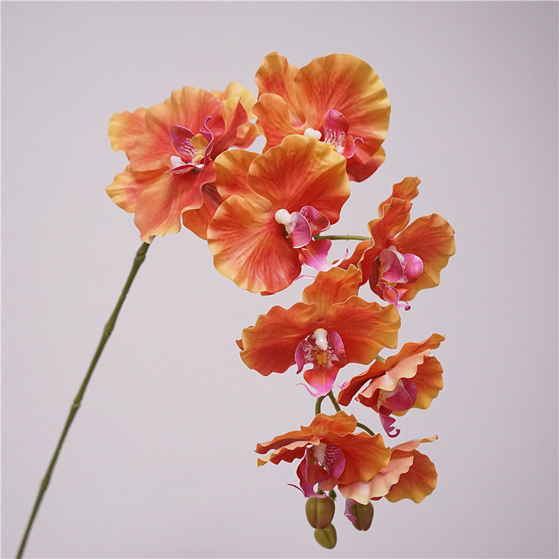 Phalaenopsis Orchidee künstlich 98 cm | 9 Blüten | Real-Touch | Kunstblume für Dekoration, Hochzeit & Floristik