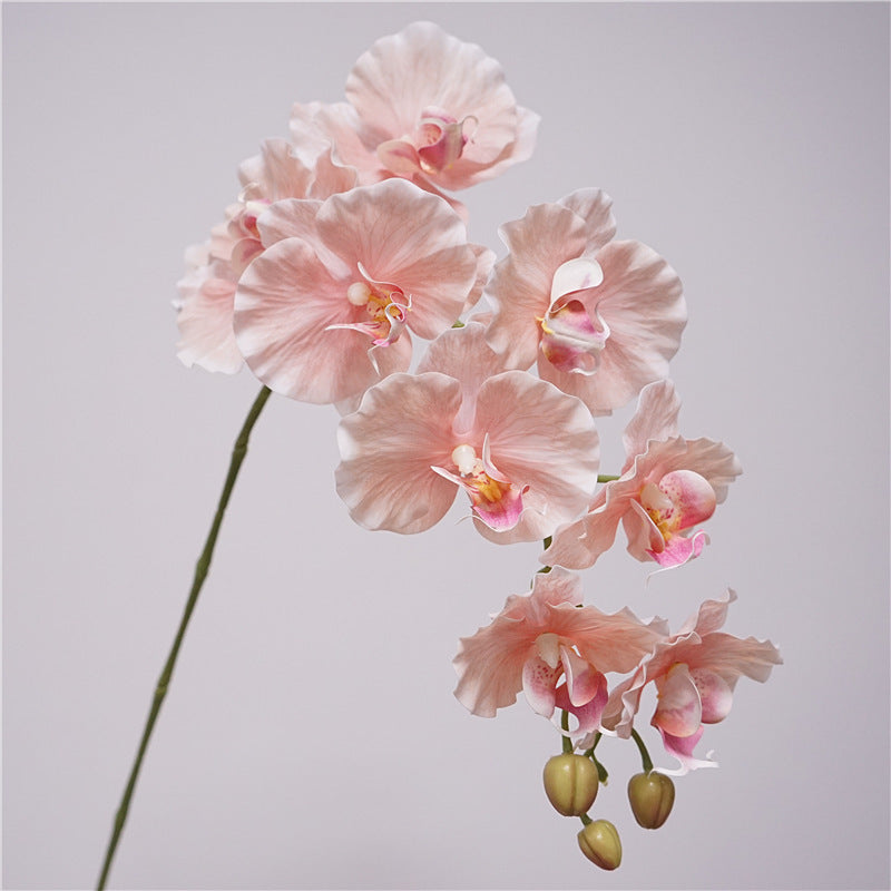 Phalaenopsis Orchidee künstlich 98 cm | 9 Blüten | Real-Touch | Kunstblume für Dekoration, Hochzeit & Floristik