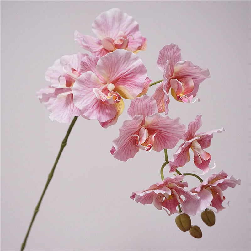 Phalaenopsis Orchidee künstlich 98 cm | 9 Blüten | Real-Touch | Kunstblume für Dekoration, Hochzeit & Floristik