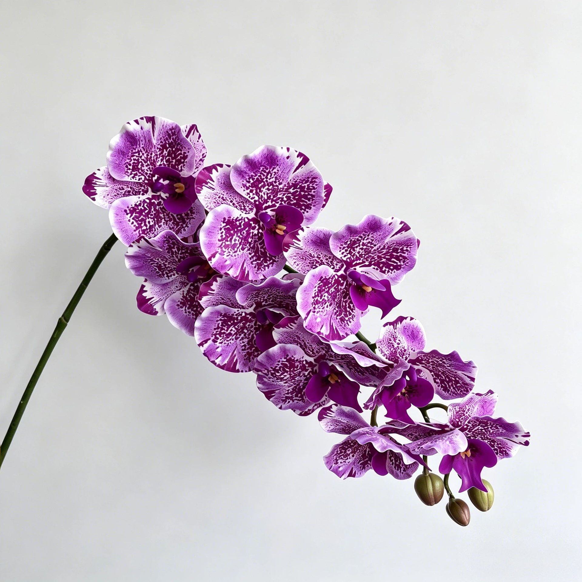 Phalaenopsis Orchidee künstlich 98 cm | 9 Blüten | Real-Touch | Kunstblume für Dekoration, Hochzeit & Floristik