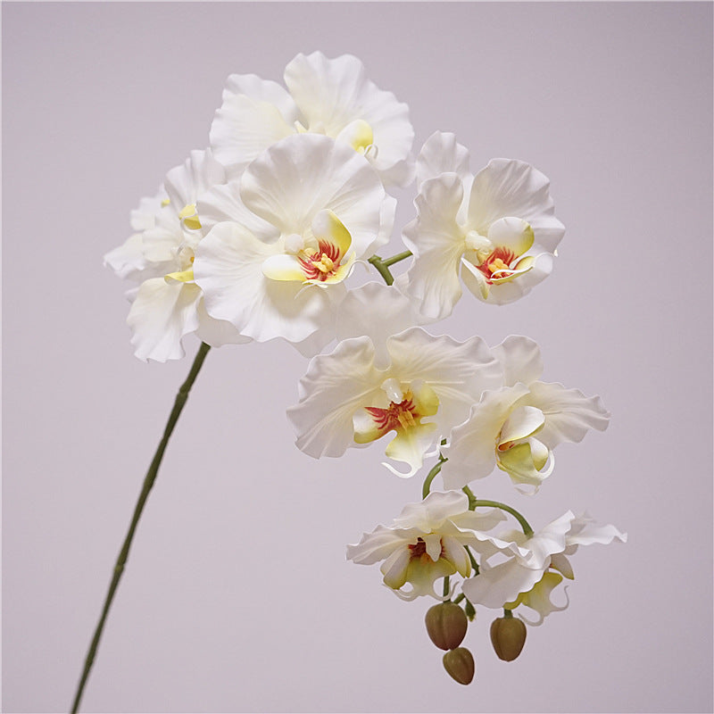 Phalaenopsis Orchidee künstlich 98 cm | 9 Blüten | Real-Touch | Kunstblume für Dekoration, Hochzeit & Floristik