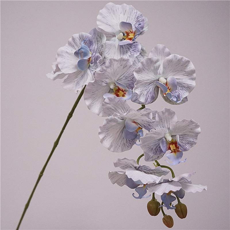 Phalaenopsis Orchidee künstlich 98 cm | 9 Blüten | Real-Touch | Kunstblume für Dekoration, Hochzeit & Floristik