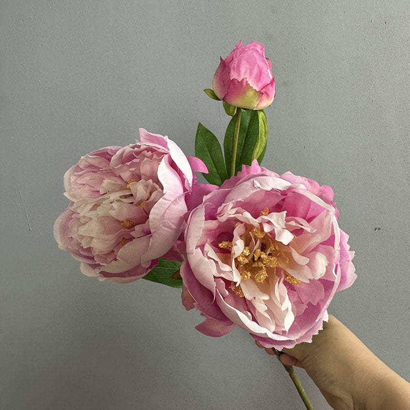 Künstliche Pfingstrose 50 cm, 2er-Set – Seidenblumen mit je 2 Blütenköpfen für Vase, Hochzeit & Deko