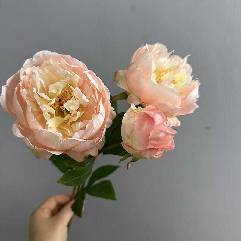 Künstliche Pfingstrose 50 cm, 2er-Set – Seidenblumen mit je 2 Blütenköpfen für Vase, Hochzeit & Deko