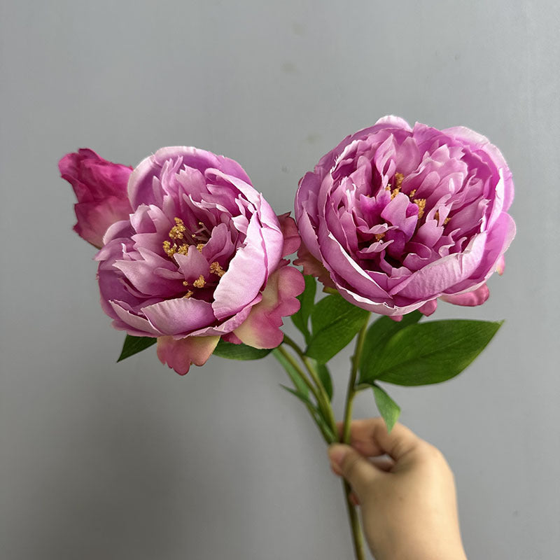 Künstliche Pfingstrose 50 cm, 2er-Set – Seidenblumen mit je 2 Blütenköpfen für Vase, Hochzeit & Deko
