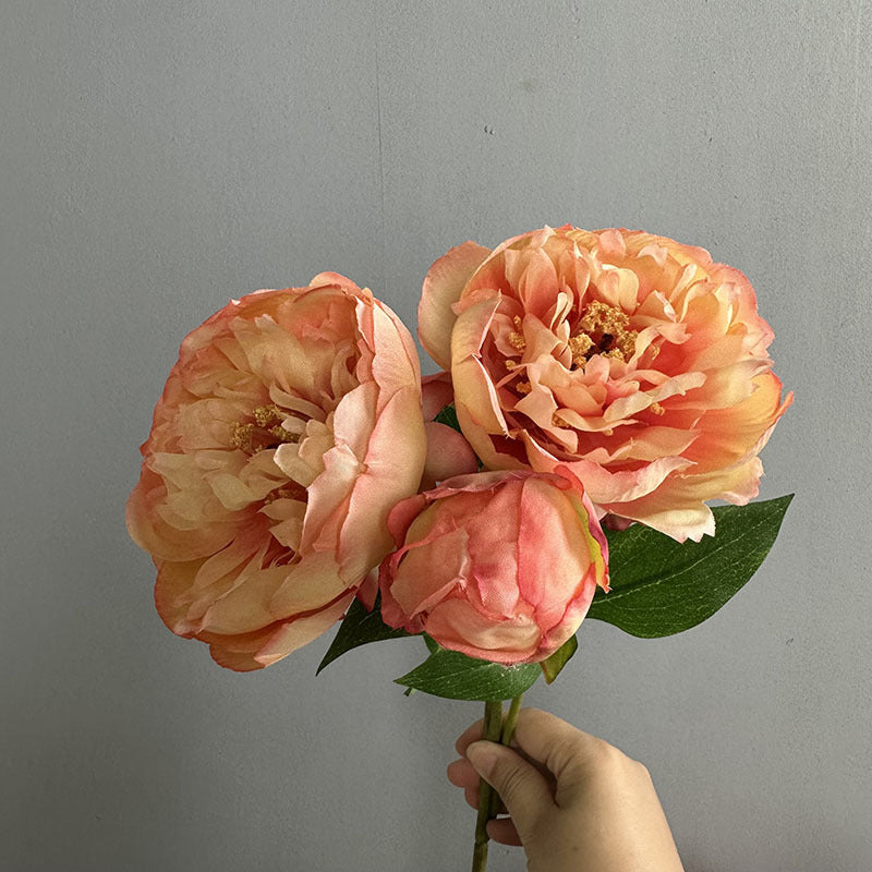 Künstliche Pfingstrose 50 cm, 2er-Set – Seidenblumen mit je 2 Blütenköpfen für Vase, Hochzeit & Deko