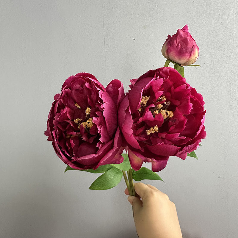 Künstliche Pfingstrose 50 cm, 2er-Set – Seidenblumen mit je 2 Blütenköpfen für Vase, Hochzeit & Deko