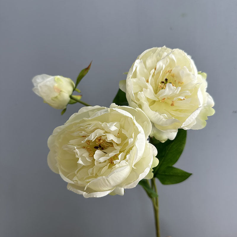 Künstliche Pfingstrose 50 cm, 2er-Set – Seidenblumen mit je 2 Blütenköpfen für Vase, Hochzeit & Deko
