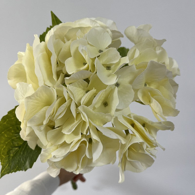 Real-Touch Hortensie, 20" hoch, 9" Durchmesser, perfekte Deko für Hochzeiten, Cafés, Einzelhandel, langlebig und pflegeleicht
