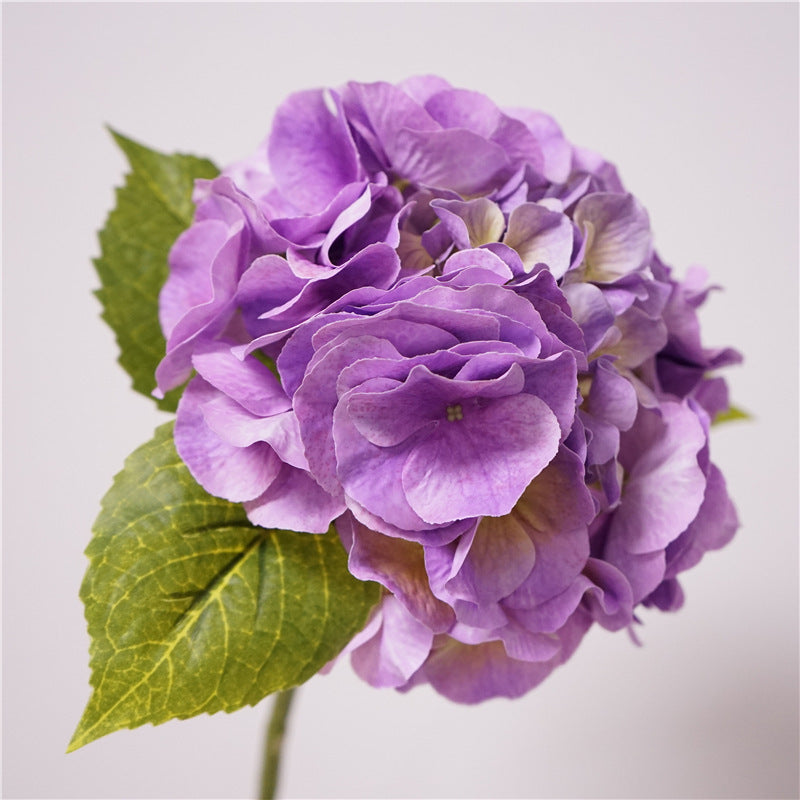 Real-Touch Hortensie, 20" hoch, 9" Durchmesser, perfekte Deko für Hochzeiten, Cafés, Einzelhandel, langlebig und pflegeleicht