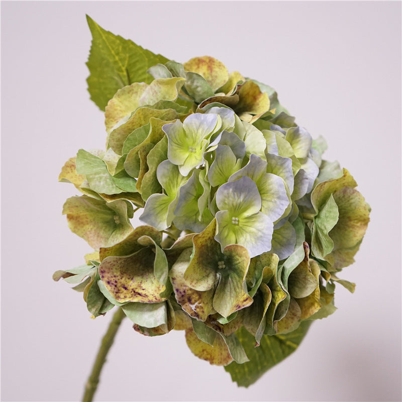 Real-Touch Hortensie, 20" hoch, 9" Durchmesser, perfekte Deko für Hochzeiten, Cafés, Einzelhandel, langlebig und pflegeleicht