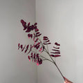 Eukalyptuszweig künstlich 90cm, täuschend echt, hochwertiger Dekozweig für Vase, Hochzeit & Floristik, langlebige Kunstpflanze