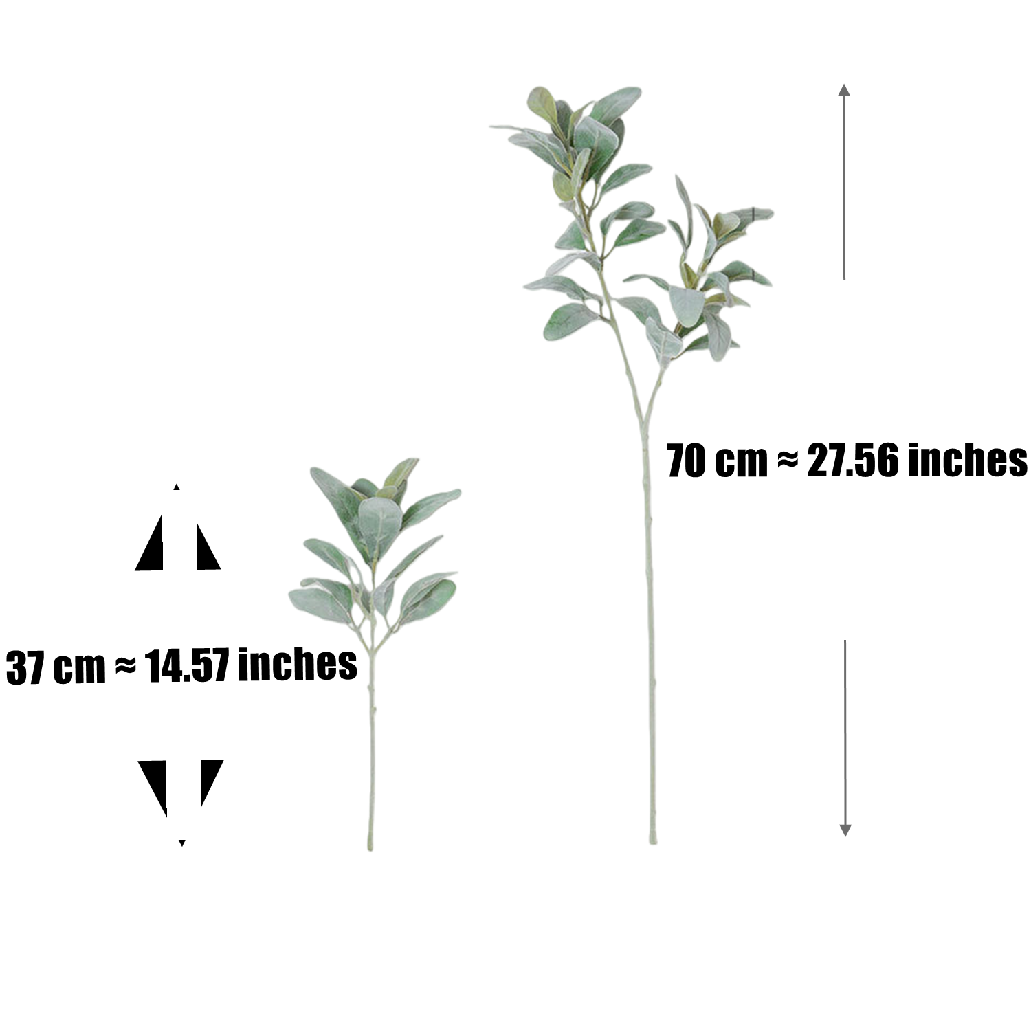 Künstliche Lammohr-Stiele 12er Set, Beflockt, Salbeigrün, 37 cm / 70 cm – für Vase, Hochzeit & Gestecke