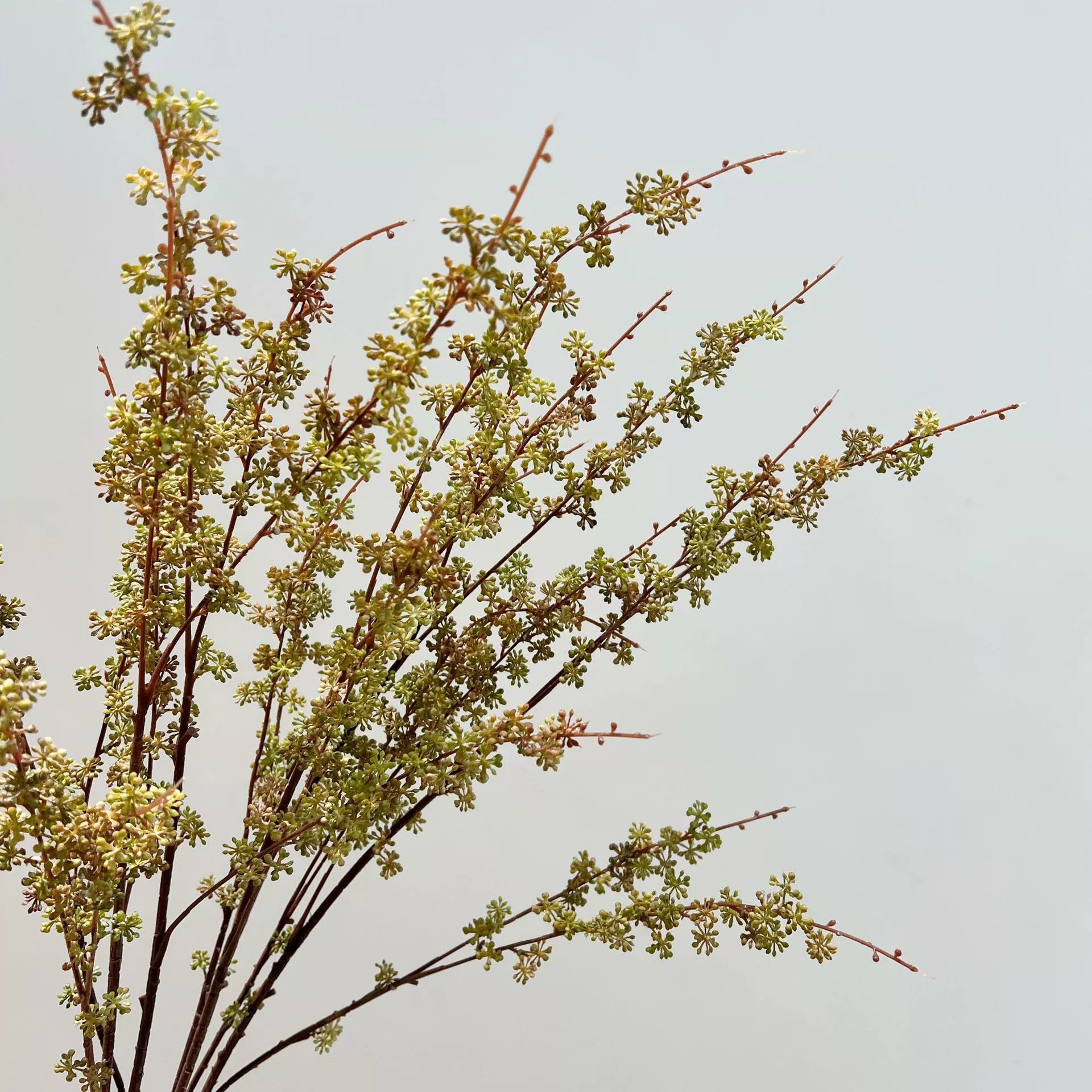 Künstliche Herbstfarben Hirseblüte, 90cm, realistisch, in Weiß, Rot und Grün, ideal für Hochzeiten, Wohnzimmer und saisonale Dekoration