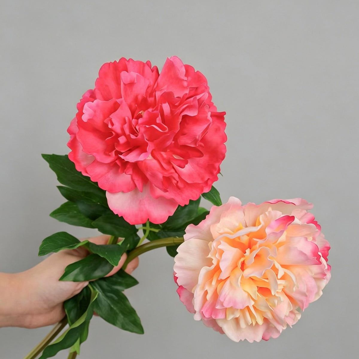 Realistische Pfingstrose, 52 cm, Blütendurchmesser 13 cm, 4 Farben – ideal für Hochzeiten, Cafés & Wohndekoration