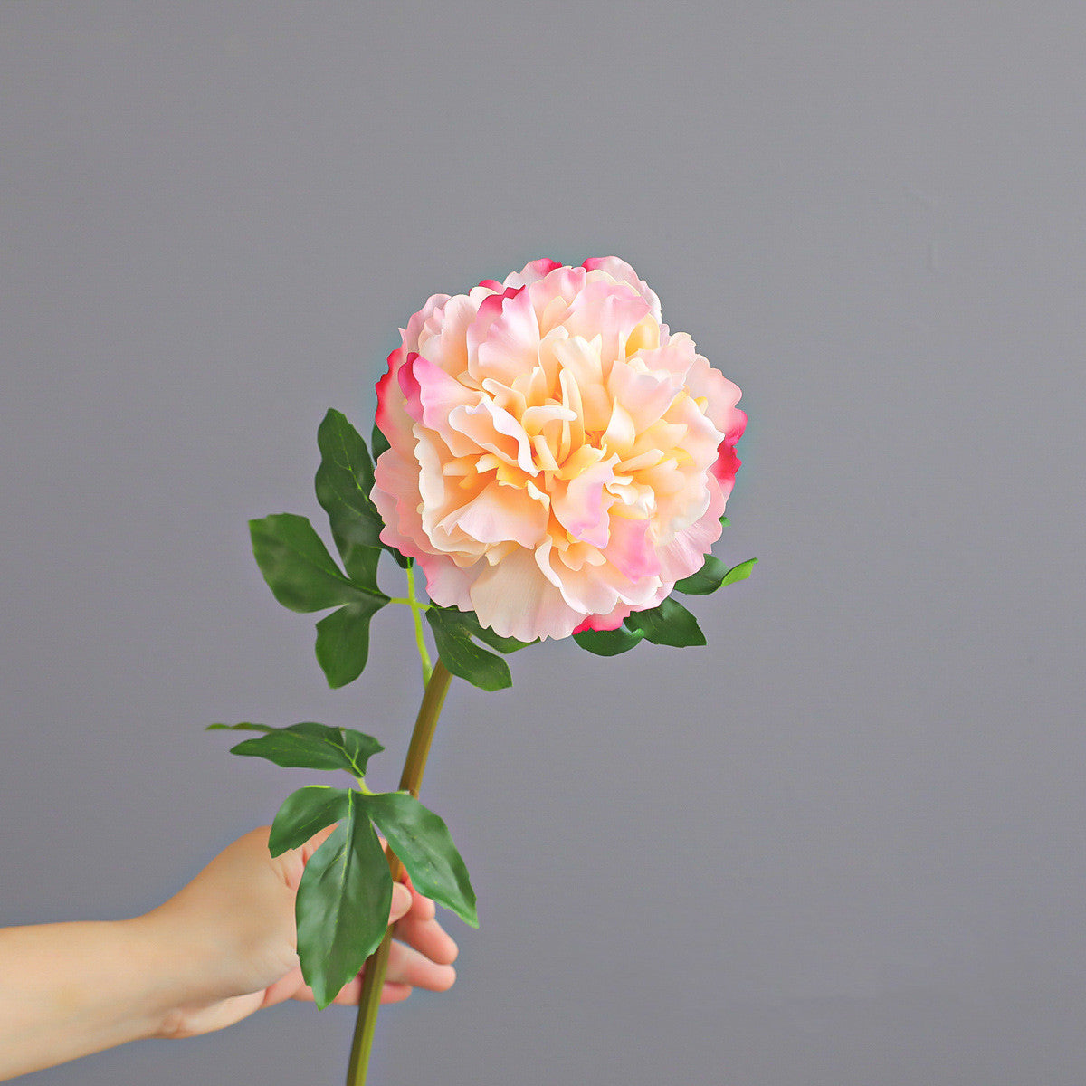 Realistische Pfingstrose, 52 cm, Blütendurchmesser 13 cm, 4 Farben – ideal für Hochzeiten, Cafés & Wohndekoration
