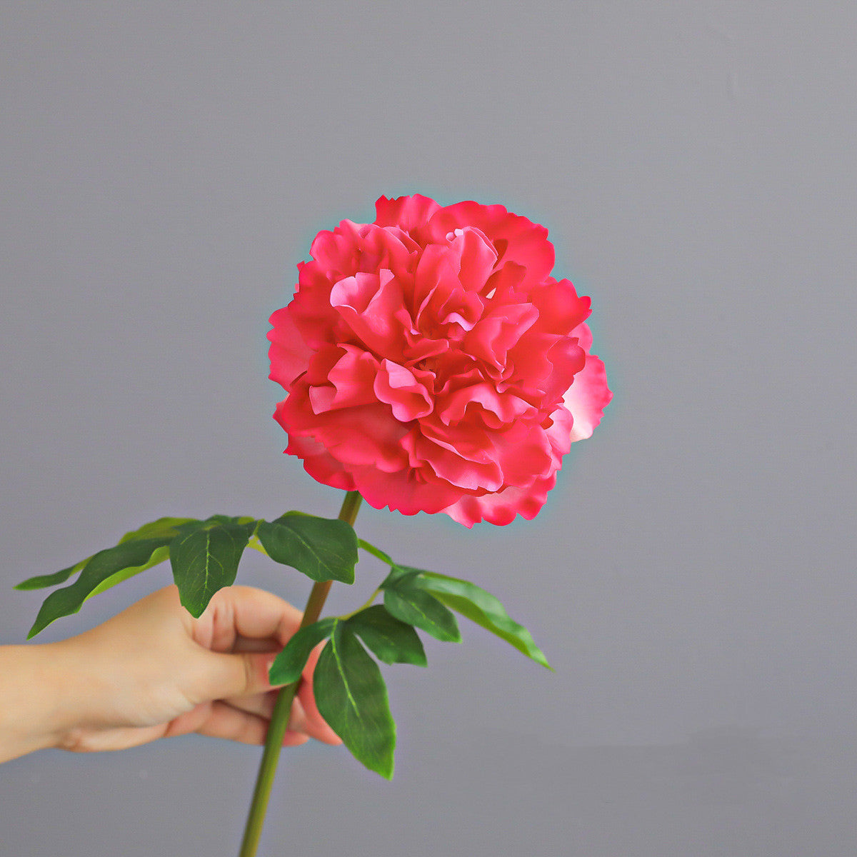 Realistische Pfingstrose, 52 cm, Blütendurchmesser 13 cm, 4 Farben – ideal für Hochzeiten, Cafés & Wohndekoration