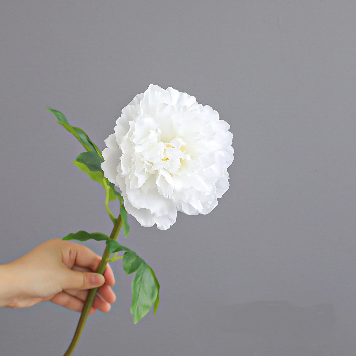 Realistische Pfingstrose, 52 cm, Blütendurchmesser 13 cm, 4 Farben – ideal für Hochzeiten, Cafés & Wohndekoration