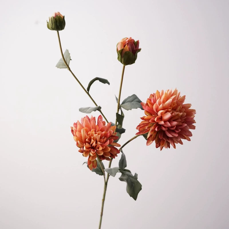 Künstliche Blumen 4 Kopf Kornblume, 74cm Hoch, Realistisches Design, Champagner, Rot, Rosa, Braun, Lila, Ideal für Hochzeiten, Innendekoration, Einzelhandelsgeschäfte