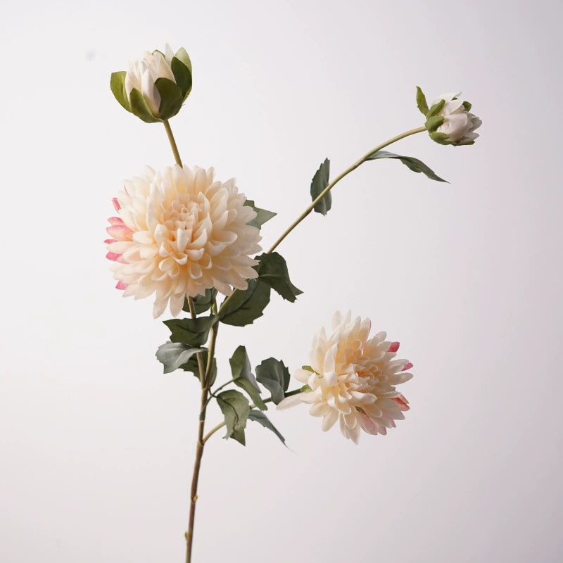 Künstliche Blumen 4 Kopf Kornblume, 74cm Hoch, Realistisches Design, Champagner, Rot, Rosa, Braun, Lila, Ideal für Hochzeiten, Innendekoration, Einzelhandelsgeschäfte