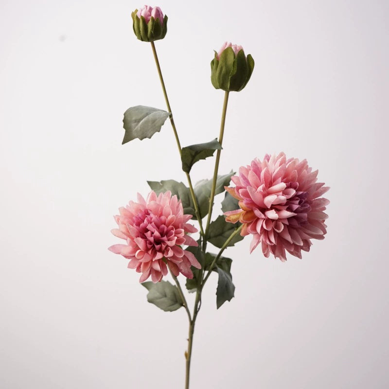 Künstliche Blumen 4 Kopf Kornblume, 74cm Hoch, Realistisches Design, Champagner, Rot, Rosa, Braun, Lila, Ideal für Hochzeiten, Innendekoration, Einzelhandelsgeschäfte