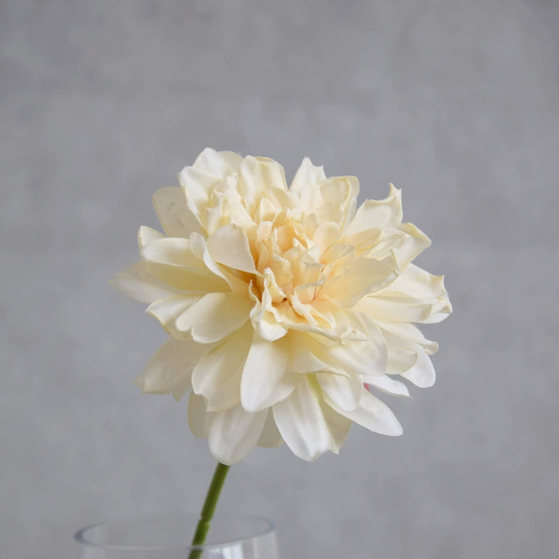 Künstliche Dahlie 30 cm, Real Touch Kunstblume mit geflammtem Rand, Einzelstiel für Vase, Gestecke, Hochzeit, langlebige Deko