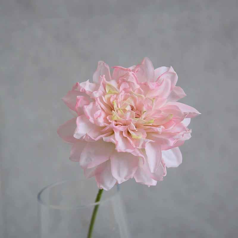Künstliche Dahlie 30 cm, Real Touch Kunstblume mit geflammtem Rand, Einzelstiel für Vase, Gestecke, Hochzeit, langlebige Deko