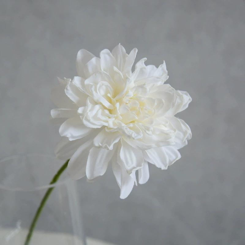 Künstliche Dahlie 30 cm, Real Touch Kunstblume mit geflammtem Rand, Einzelstiel für Vase, Gestecke, Hochzeit, langlebige Deko
