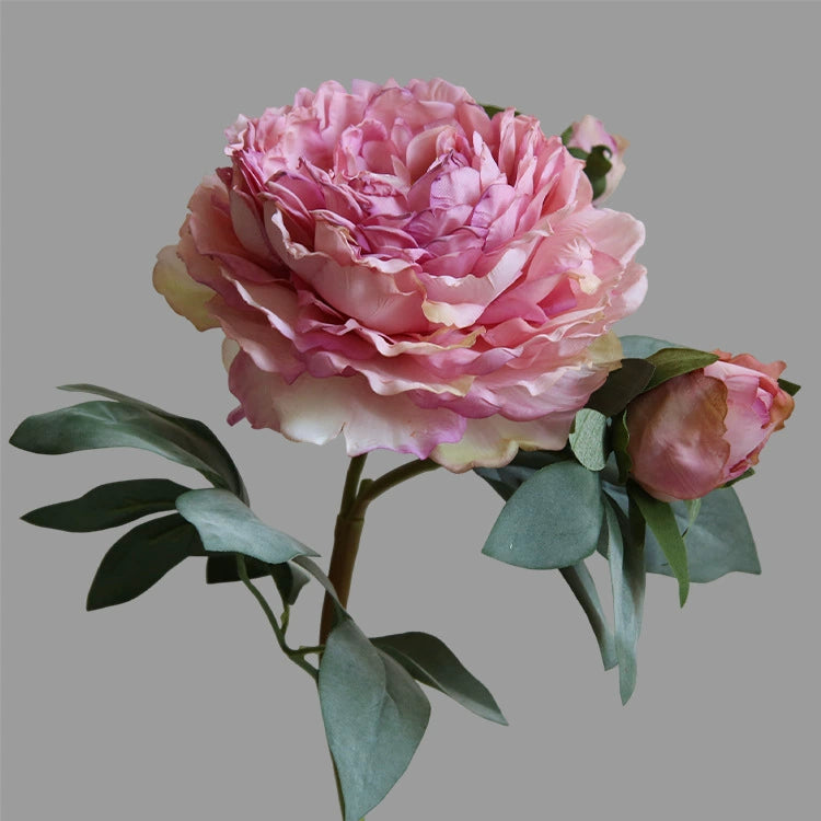 Künstliche Pfingstrose Groß 55 cm, Real-Touch Kunstblume mit geflammtem Rand, Vintage Deko für Vase, Hochzeit, Tischdeko, Floristik