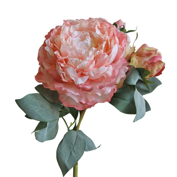 Künstliche Pfingstrose Groß 55 cm, Real-Touch Kunstblume mit geflammtem Rand, Vintage Deko für Vase, Hochzeit, Tischdeko, Floristik