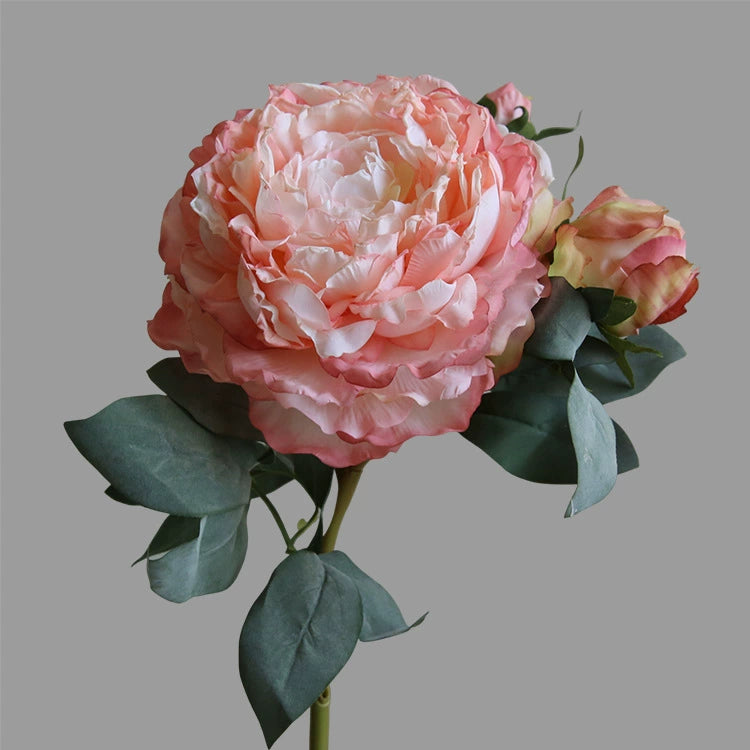 Künstliche Pfingstrose Groß 55 cm, Real-Touch Kunstblume mit geflammtem Rand, Vintage Deko für Vase, Hochzeit, Tischdeko, Floristik