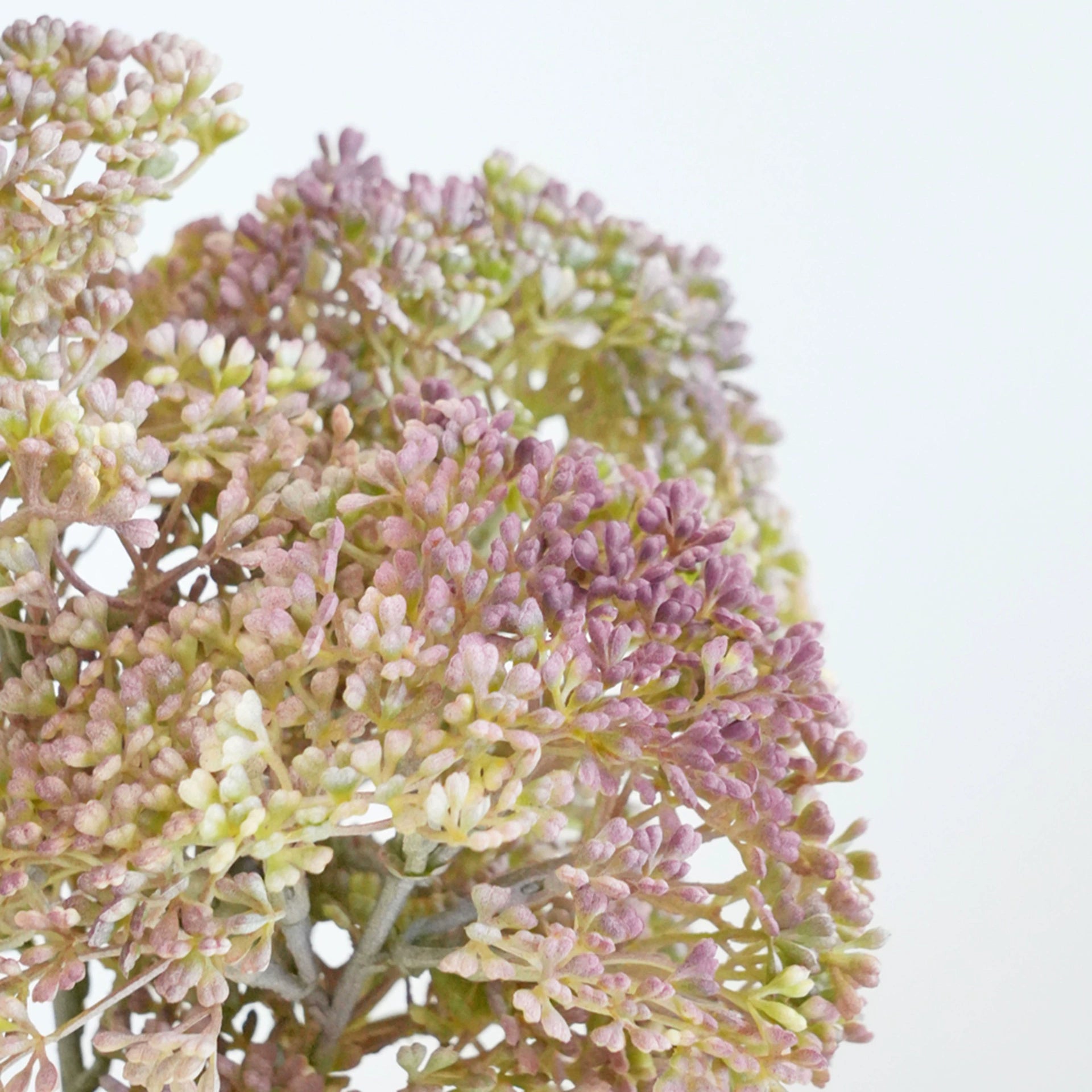 Künstlicher Beeren-Zweig 33 cm, Naturgetreuer Deko-Zweig mit Früchten, Detailreiche Kunstpflanze für Vase, Tischdeko, Hochzeit & Floristik