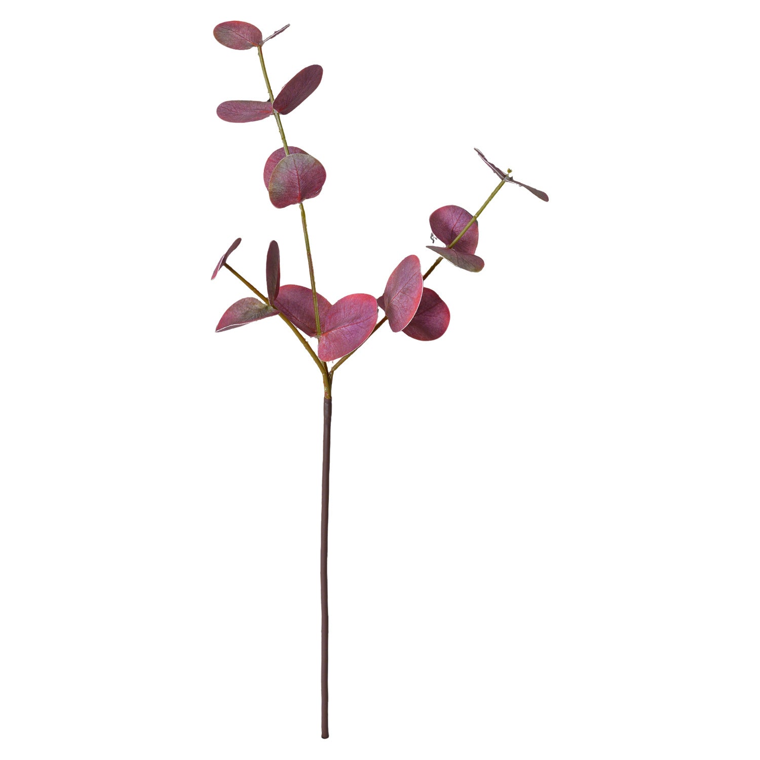 Eukalyptuszweige künstlich 2er Set (50 cm), Real-Touch Rundblatt-Eukalyptus, Grüne Deko Zweige für Vase, Hochzeit, Floristik & Gewerbe