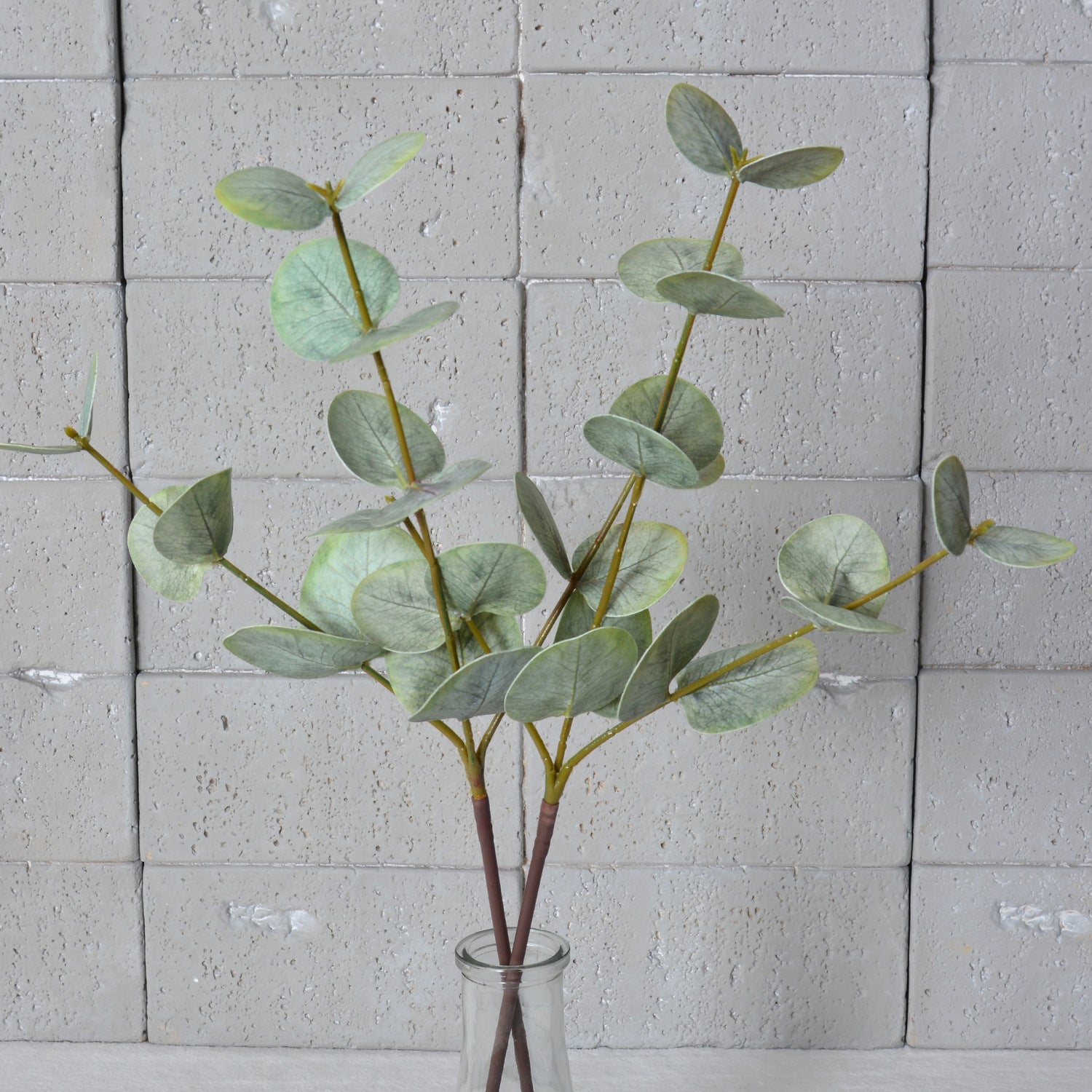 Eukalyptuszweige künstlich 2er Set (50 cm), Real-Touch Rundblatt-Eukalyptus, Grüne Deko Zweige für Vase, Hochzeit, Floristik & Gewerbe