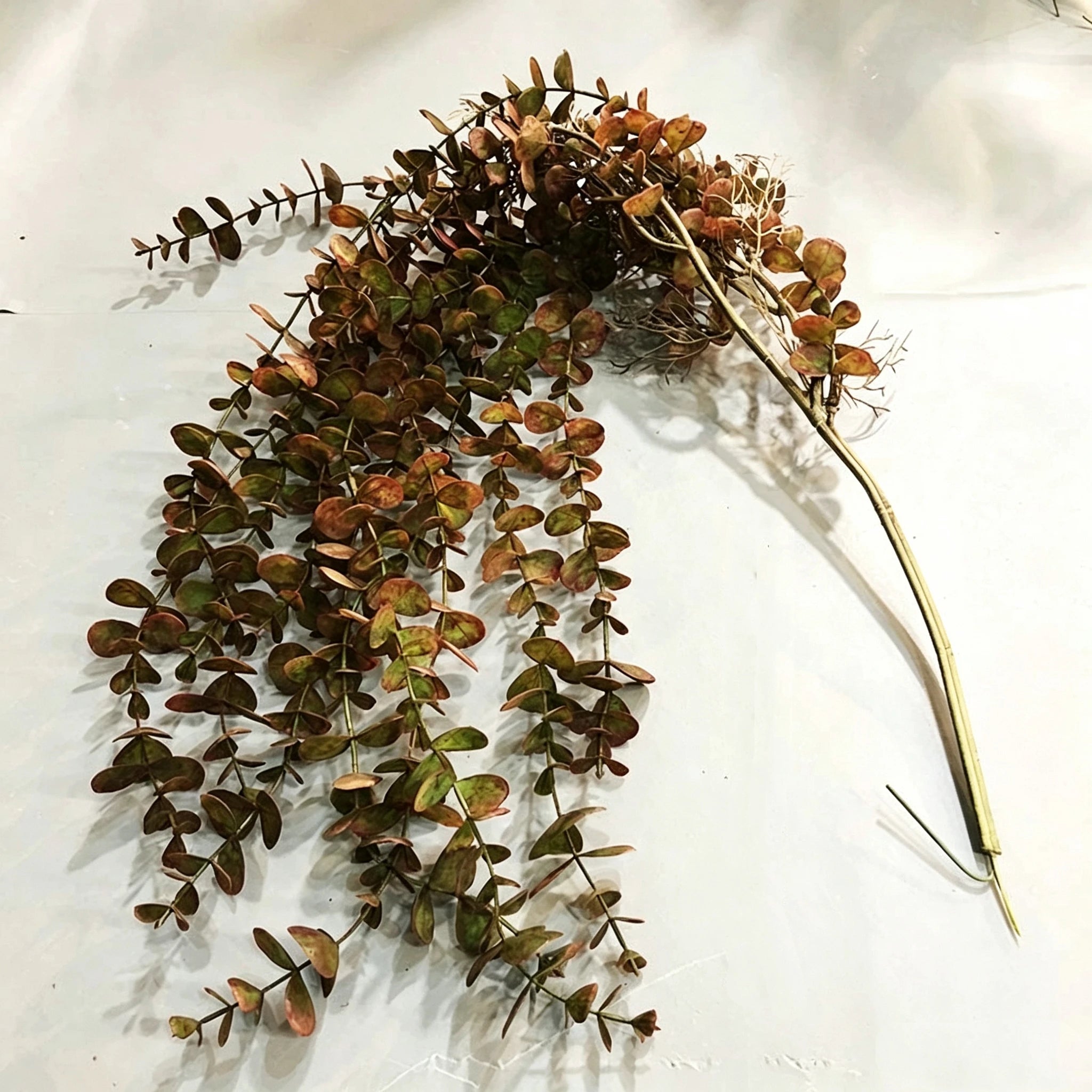Eukalyptus Girlande Künstlich 2er Set, 100cm Hängepflanze, Täuschend Echte Kunstpflanzen für Wanddeko, Hochzeit, Balkon & Gewerbe