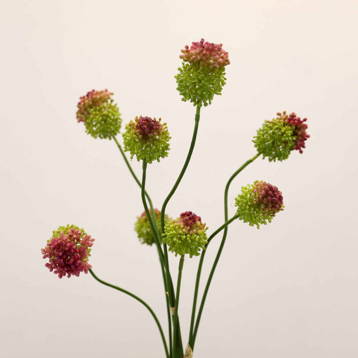 Allium Kunstblume 2er Set, 70cm Zierlauch Stiel, Naturgetreue Pusteblume, Hochwertige Kunstpflanze für Vase, Hochzeit, Floristik & Deko