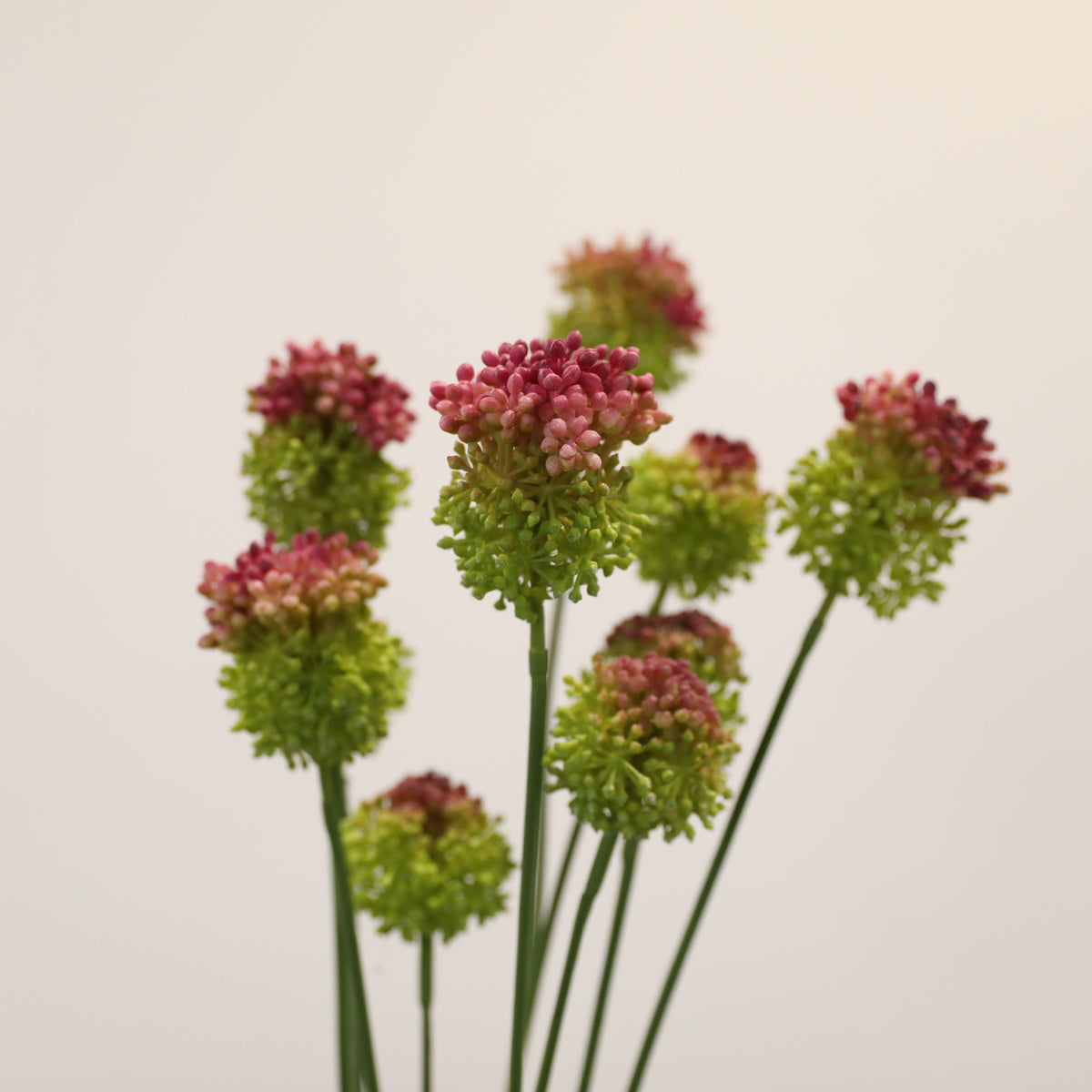 Allium Kunstblume 2er Set, 70cm Zierlauch Stiel, Naturgetreue Pusteblume, Hochwertige Kunstpflanze für Vase, Hochzeit, Floristik & Deko