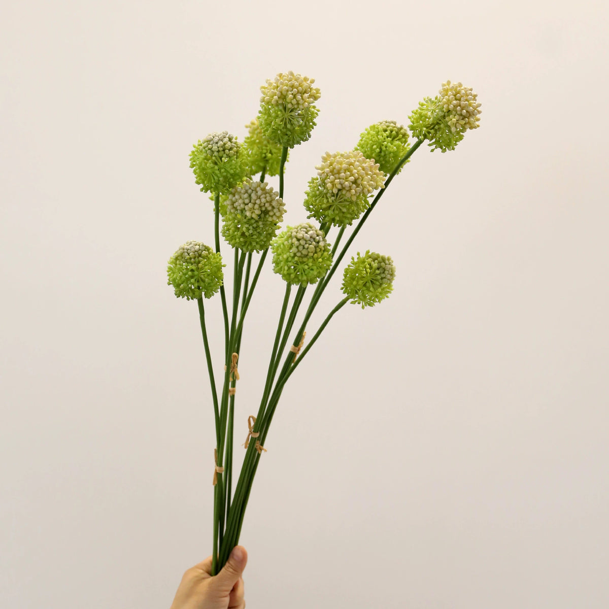Allium Kunstblume 2er Set, 70cm Zierlauch Stiel, Naturgetreue Pusteblume, Hochwertige Kunstpflanze für Vase, Hochzeit, Floristik & Deko