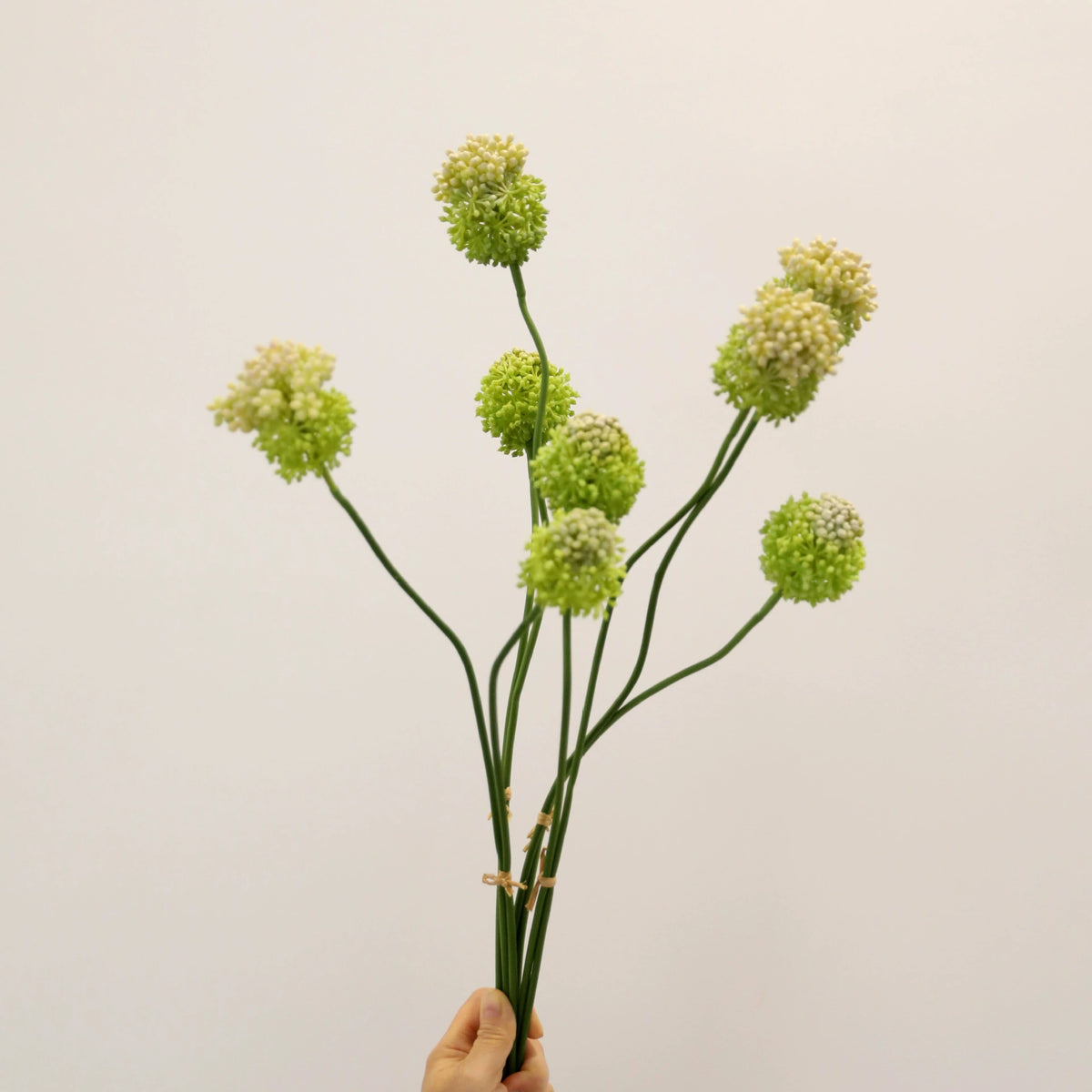 Allium Kunstblume 2er Set, 70cm Zierlauch Stiel, Naturgetreue Pusteblume, Hochwertige Kunstpflanze für Vase, Hochzeit, Floristik & Deko