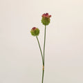 Allium Kunstblume 2er Set, 70cm Zierlauch Stiel, Naturgetreue Pusteblume, Hochwertige Kunstpflanze für Vase, Hochzeit, Floristik & Deko
